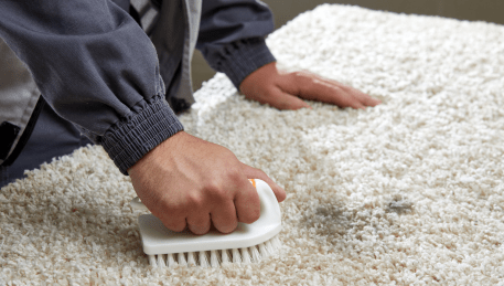 Professional Rug Cleaning Syndal